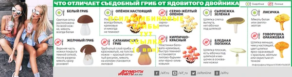 дмт Лабытнанги