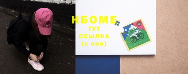 дмт Лабытнанги