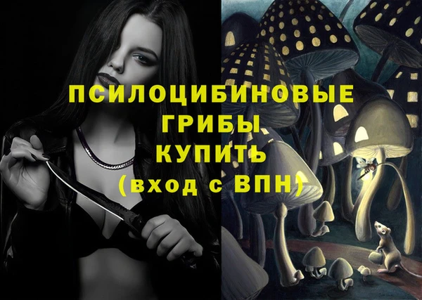 дмт Лабытнанги