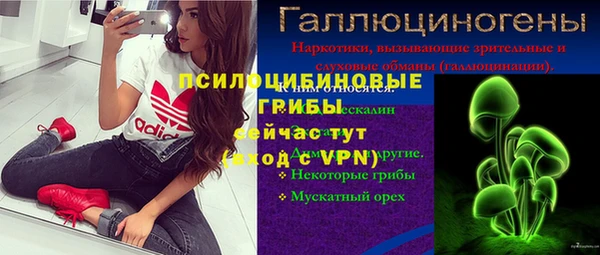 дживик Ладушкин