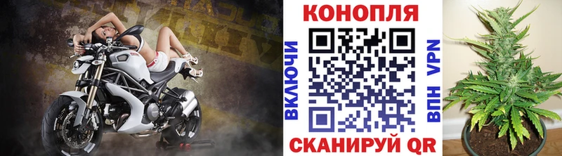 kraken tor наркошоп Оха Бошки марихуана индика